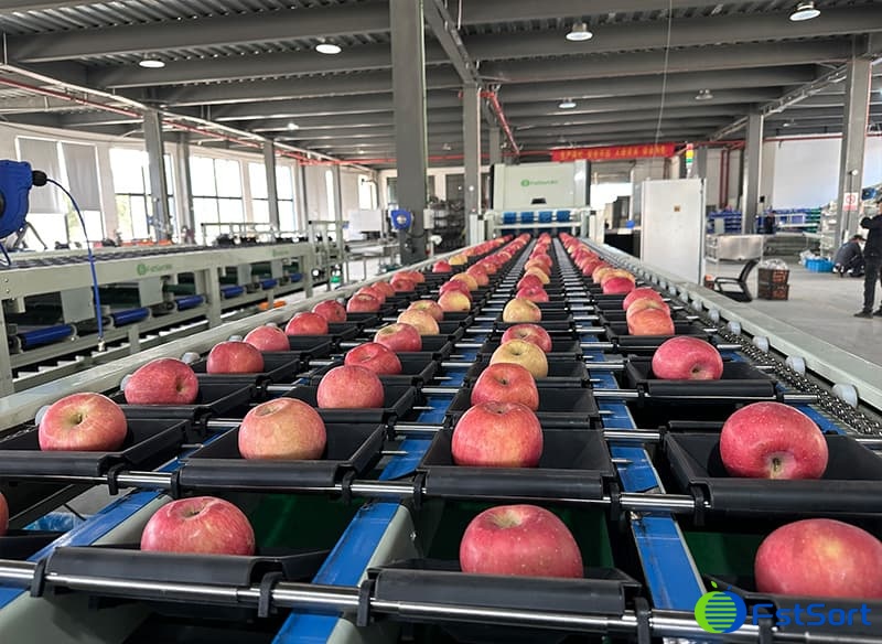 images/1735199704246apple processing machine.jpg